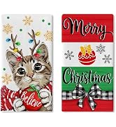 Croar Merry Christmas Tabby Cat Kitchen Dish Towels Set of 2, Xmas Ball Believe Snowflake Drying ...
