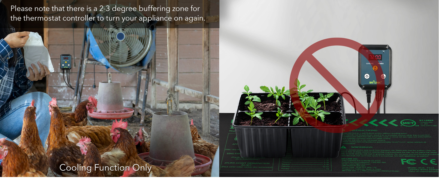 thermostat for reptiles