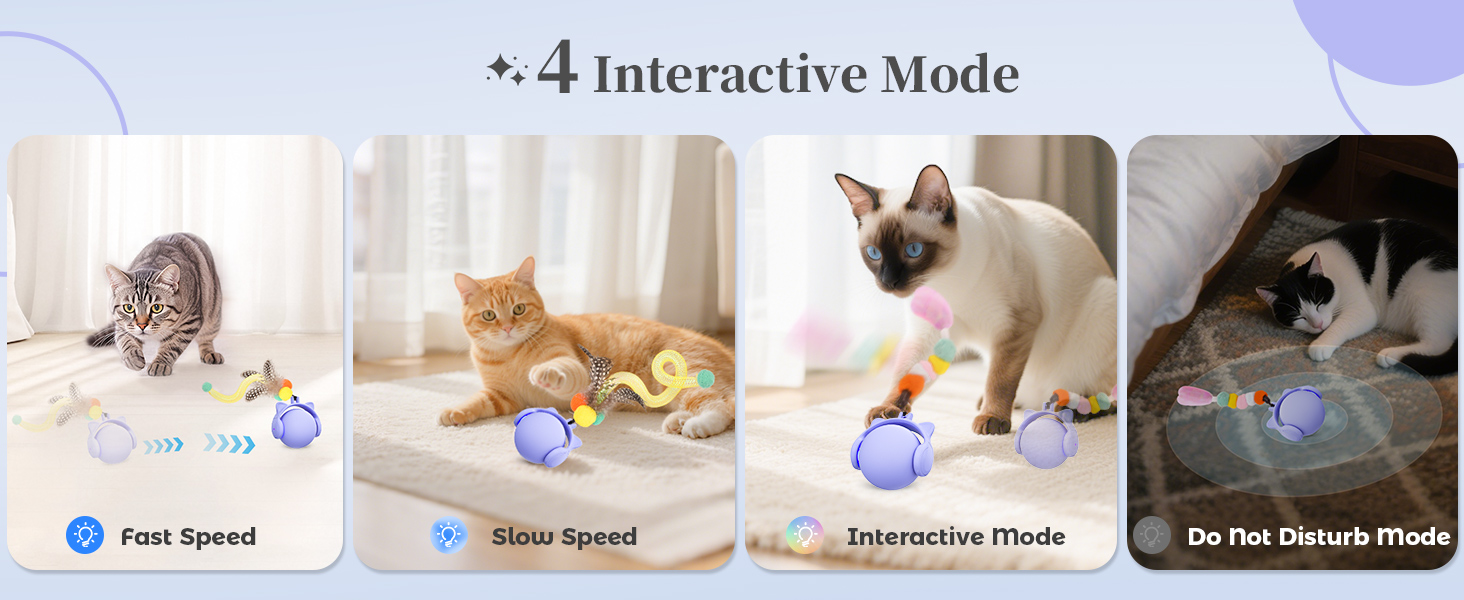 cat toy ball
