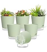 SQKH Plant Pots 4 Inch Self Watering Pots,6 Pack Plastic Planters with Drainage Holes and Clear S...