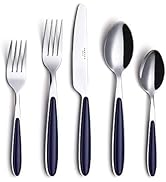 ANNOVA 20PCS Flatware Set - Stainless Steel Silverware/Cutlery with Color Handles - 4 x Dinner Fo...