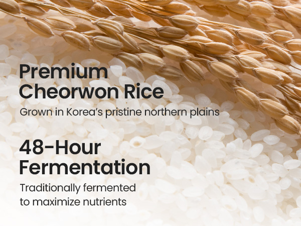 rice line