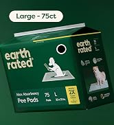 dog pee pads large
