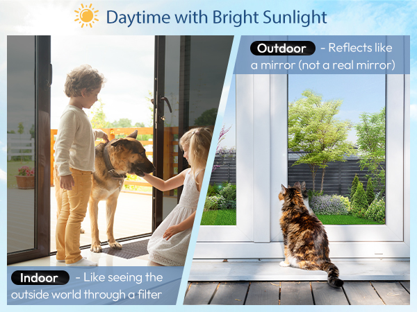 window privacy film see out not in