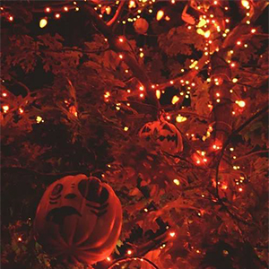 orange-7
