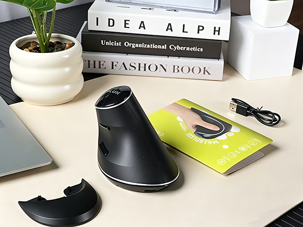 DELUX Wireless Ergonomic Vertical Mouse