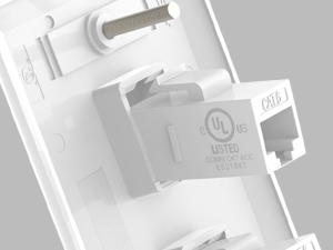 CAT6 WALL PLATE