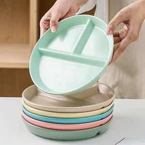 Divided Dinner Plate Set of 5