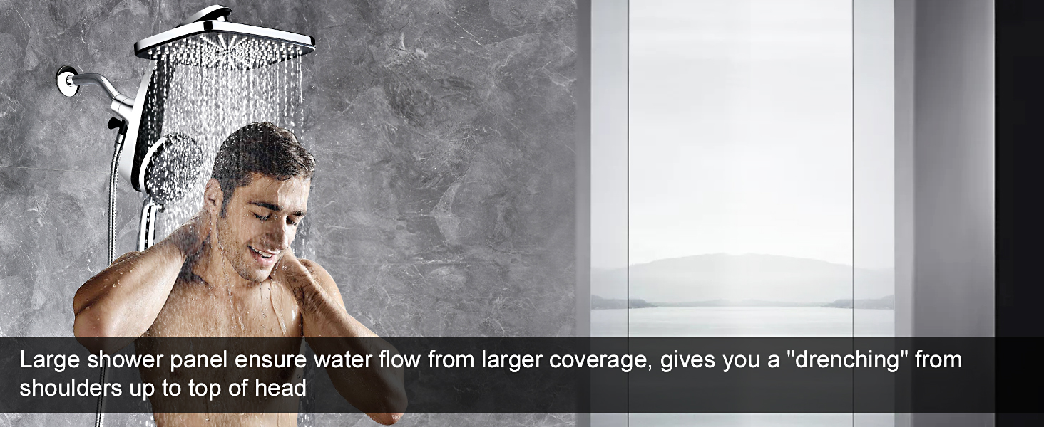 shower head with handheld spray