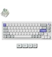 Keychron Q2 HE 8K Wired Magnetic Gaming Keyboard with Knob, 65% Layout, Aluminum Body, 8000Hz Pol...