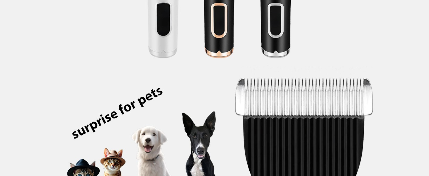 surprise for pets
