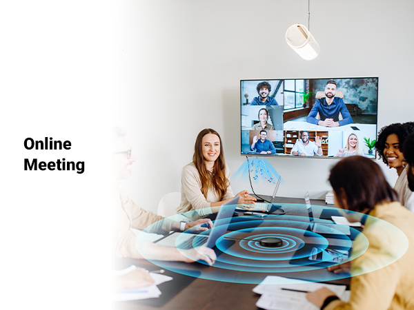 Online Meeting