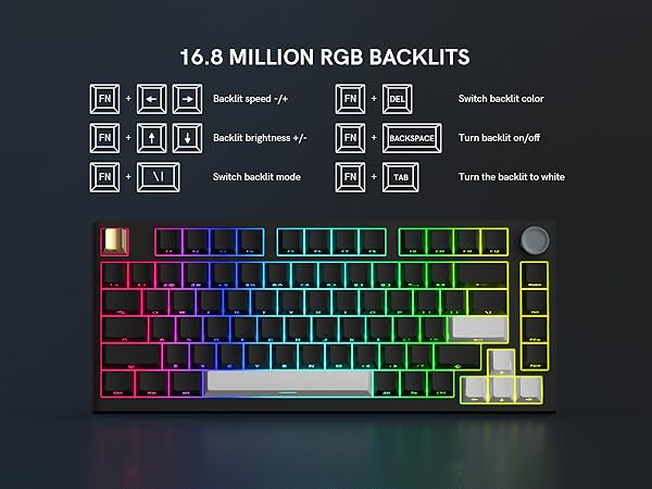 16.8 MILLION RGB BACKLITS