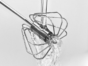 Whisk