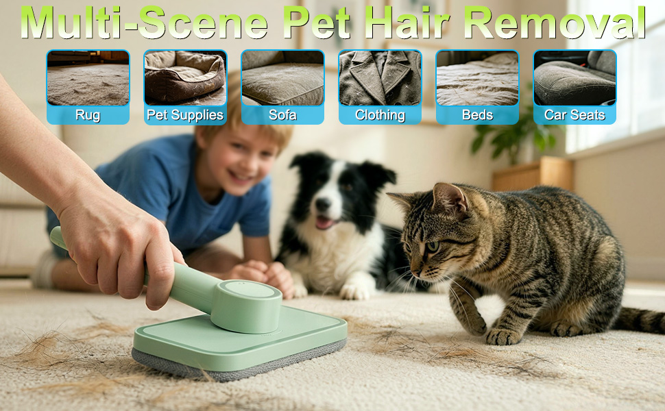 Pet Hair Remover
