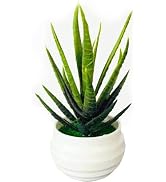 Calsgkspray Fake Potted Plant, Artificial Plants and Flowers,Artificial Greenery Plants for Indoo...