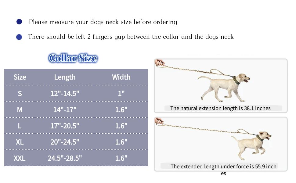 dog collar