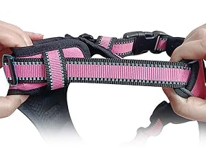 dog harness