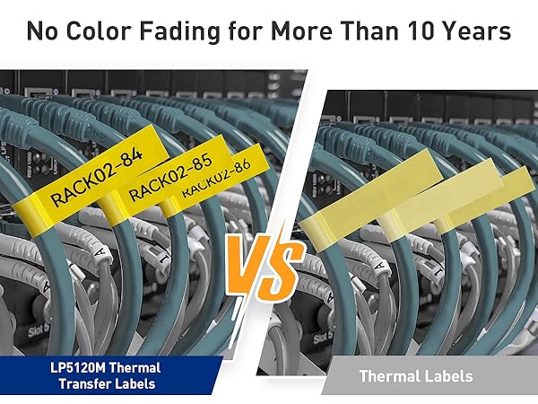 Thermal Transfer Technology: No Color Fading for More Than 10 Years