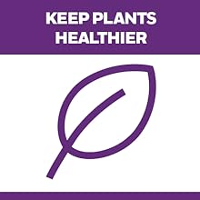 plants healthier