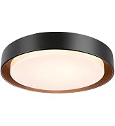 LUTEC Flush Mount Ceiling Light, Matte Black with Gold Interior, 13in 23W Dimmable LED Ceiling Li...