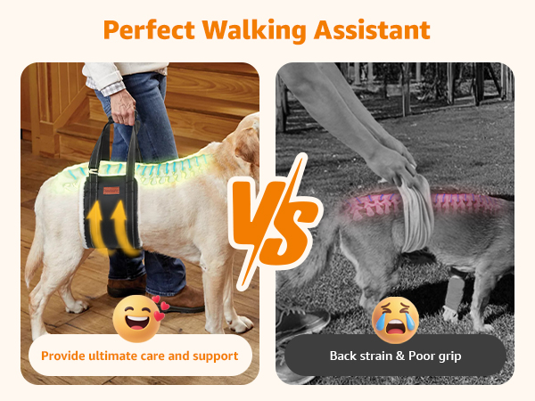 dog lift harness for back legs