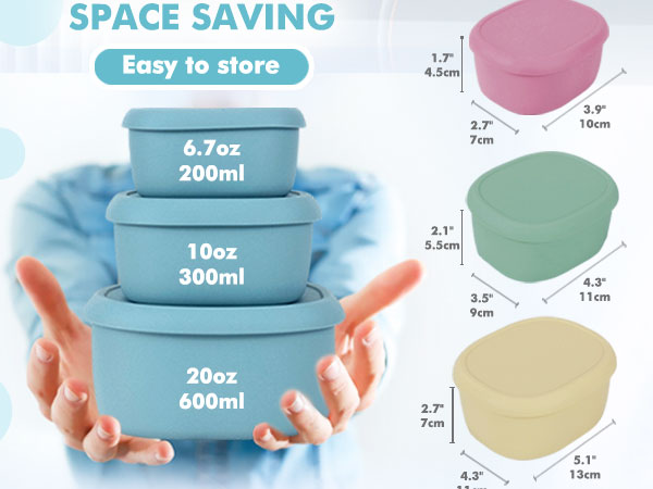 Lunch Box Bento with Lids BPA Free Dishwasher Microwave Oven Freezer Safe
