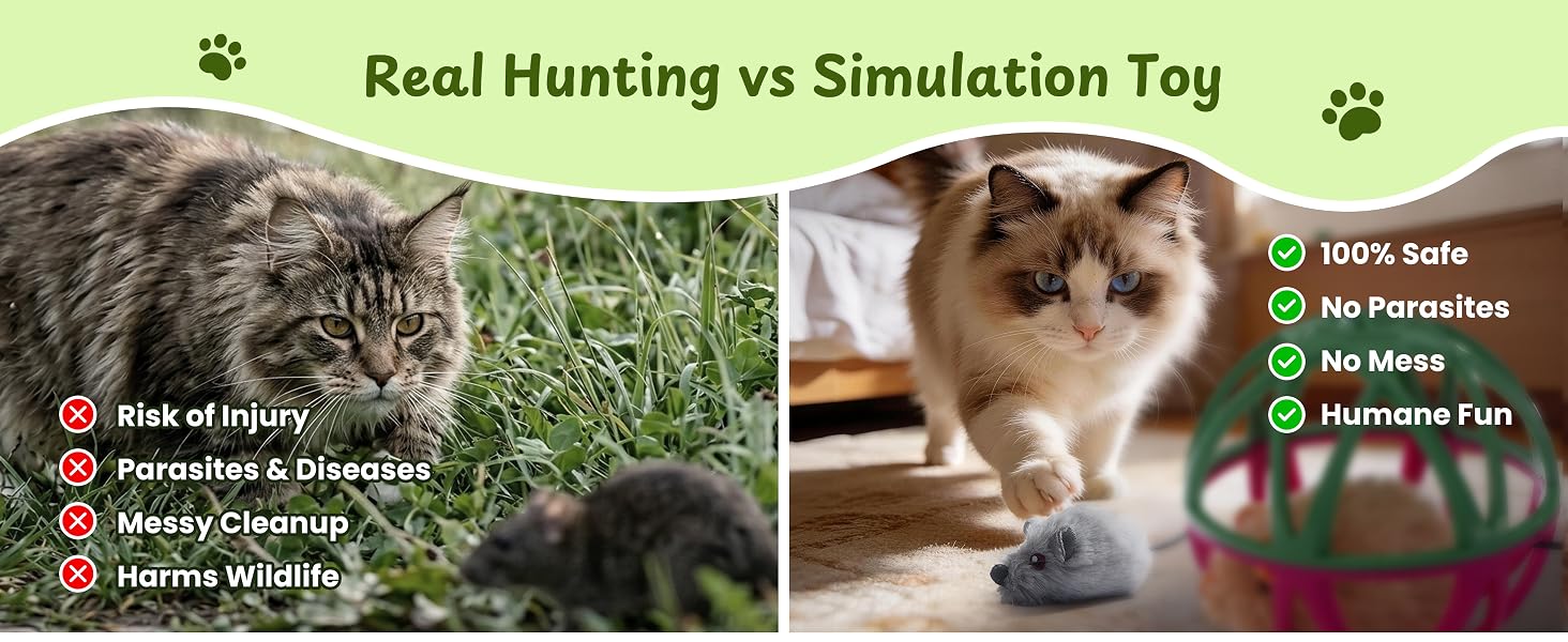 interactive cat toys
