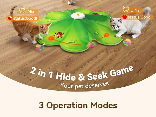 cat toys