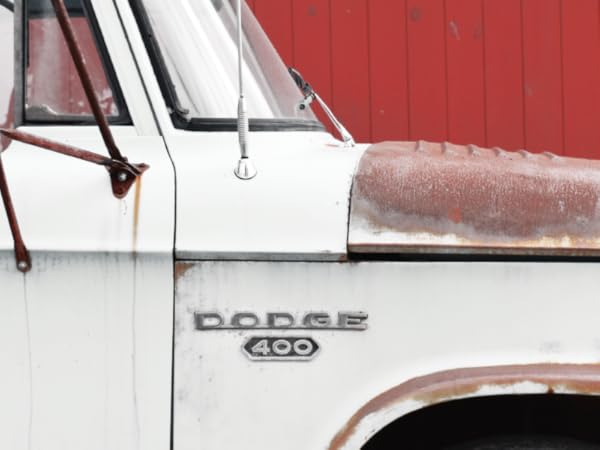 Stop Rust