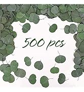 HIAGROW Real Eucalyptus Leaves for Shower: 500PCS Green Dried Eucalyptus Leaves Bulk for Wedding ...