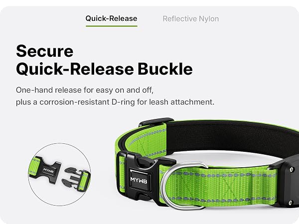 Secure quick release buckle and corrosion resistant D ring for leash on MYIWB dog collar