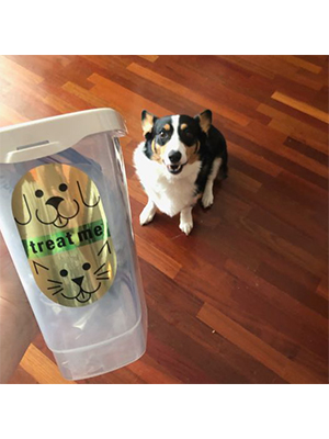 Pet Treat Container