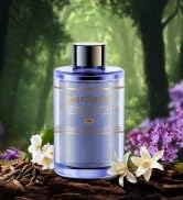 smart car air freshener?