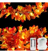suddus 20 LED Fall Leaves Garland with Lights Battery Operated Timer Orange | 6.5FT Lighted Fall ...