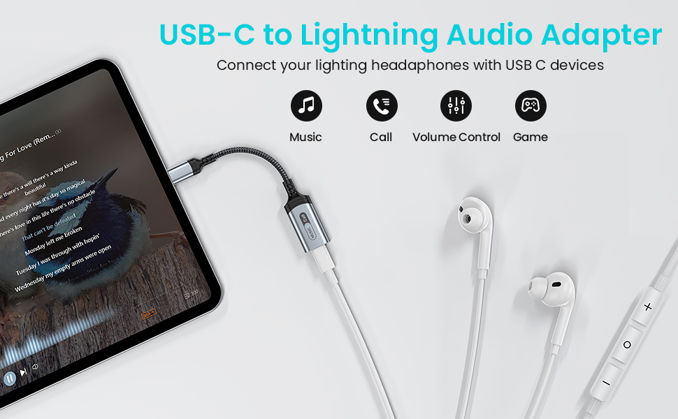 USB C to lightng audio adapter