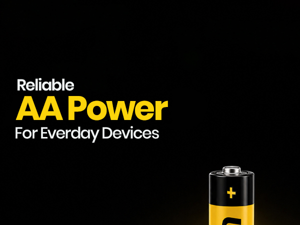 AA Batteries