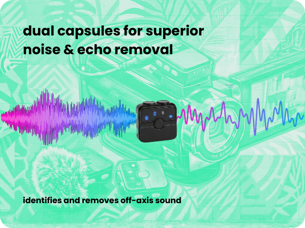 intelligent noise & echo removal