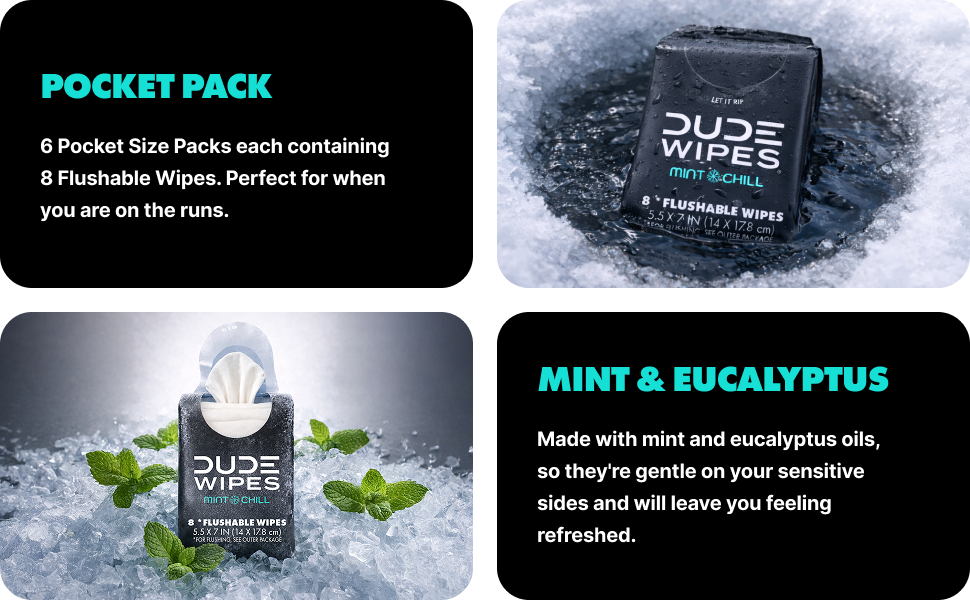 Dude Wipes Extra Large Flushable Wipes Travel Size