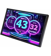 VSDISPLAY 8 Inch Small Mini LCD Monitor 1280x800 IPS Screen Display for PC Case DIY Building/Lapt...
