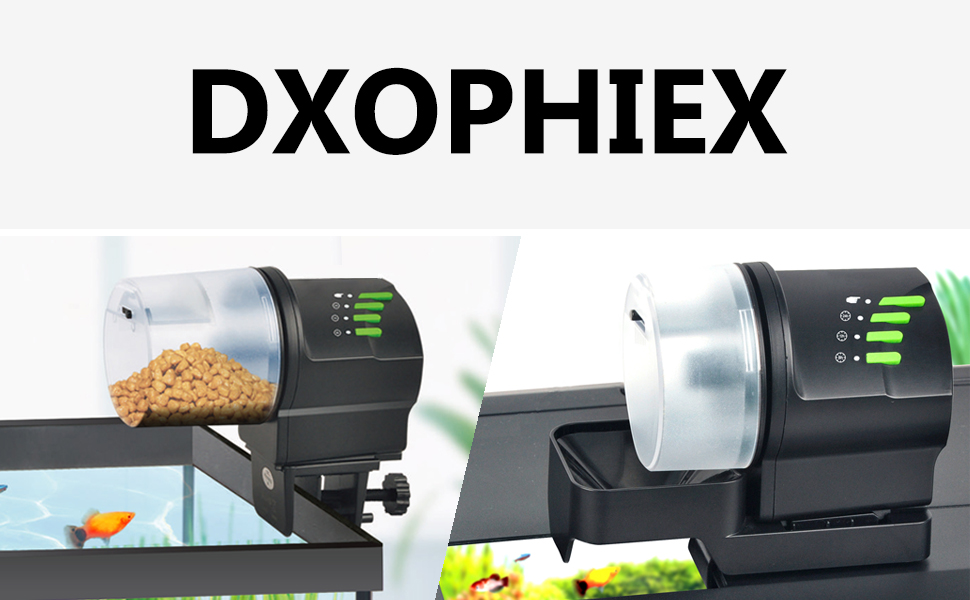 automatic fish feeder