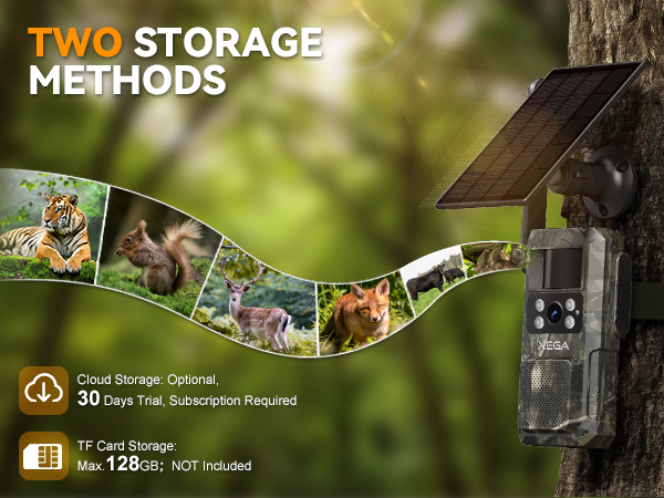 4g wildlife cameras with night vision motion