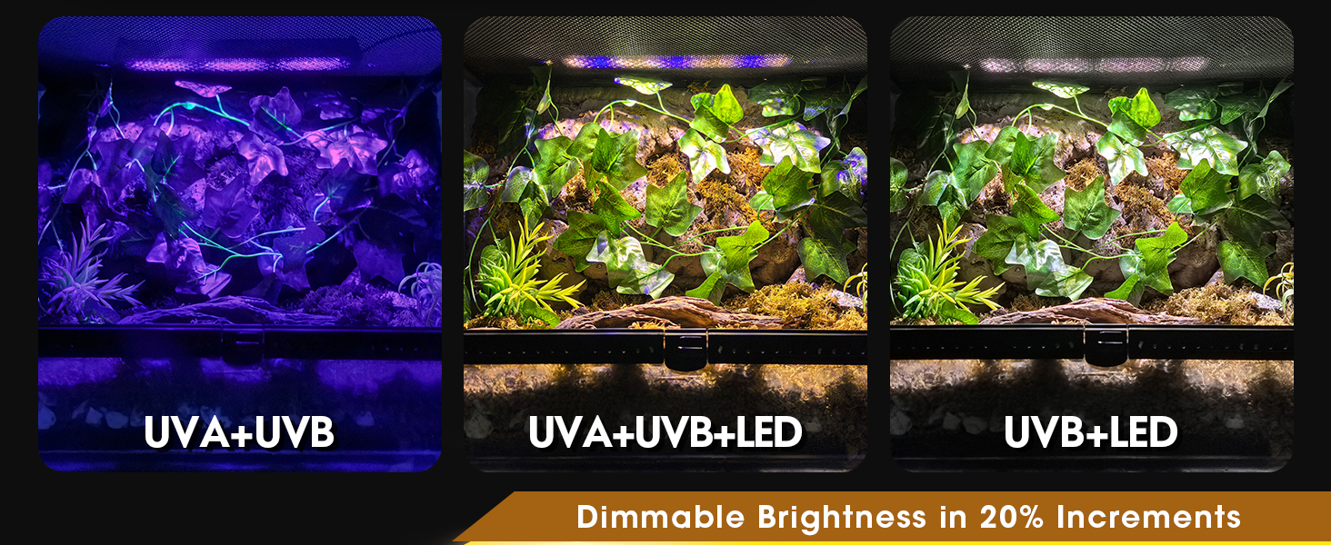 uvb light