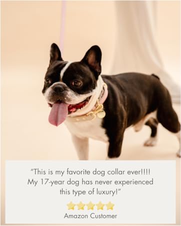review spoil your dog not the planet with vegan and recycled premium dog accessories from Nina Woof