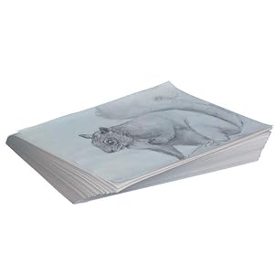 Sketch Paper