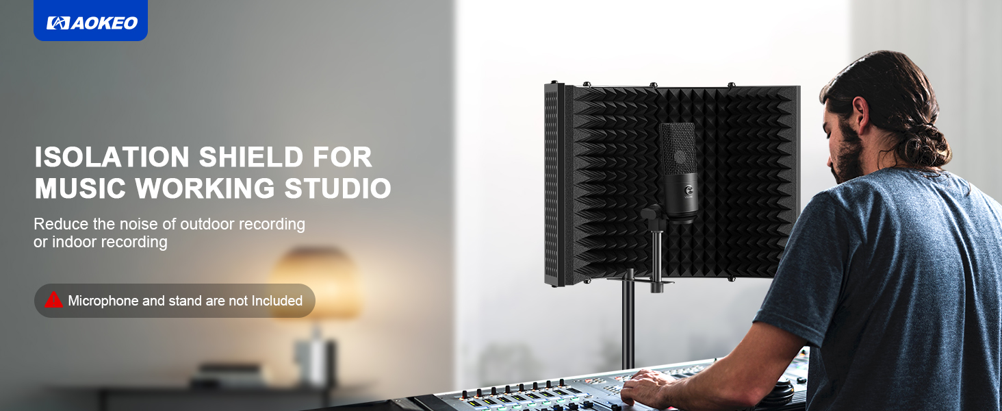 microphone filter