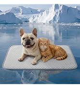 YQLKYMLO Dog Cooling Mat for Medium Dogs, Q-Max>0.4 Breathable Cool Pet Crate Pad Indoor for Pupp...