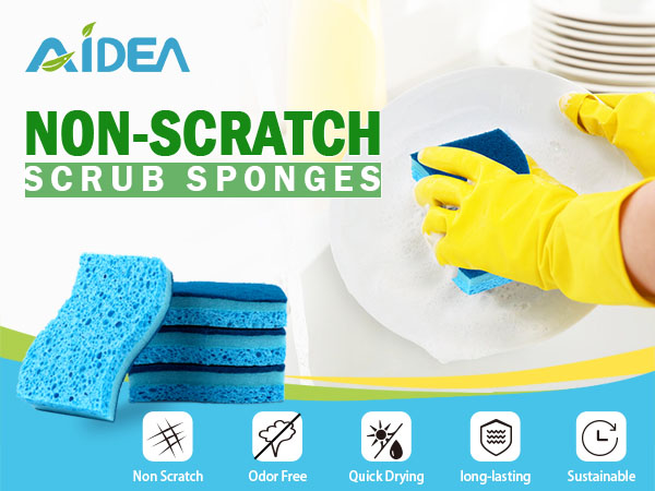 Non-Scratch Sponges