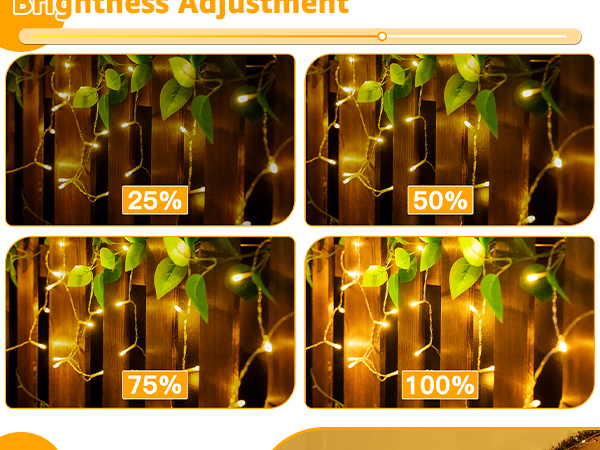 string lights