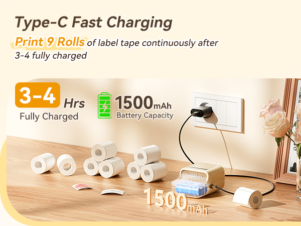 niimbot b21 pro label maker type c fast charging